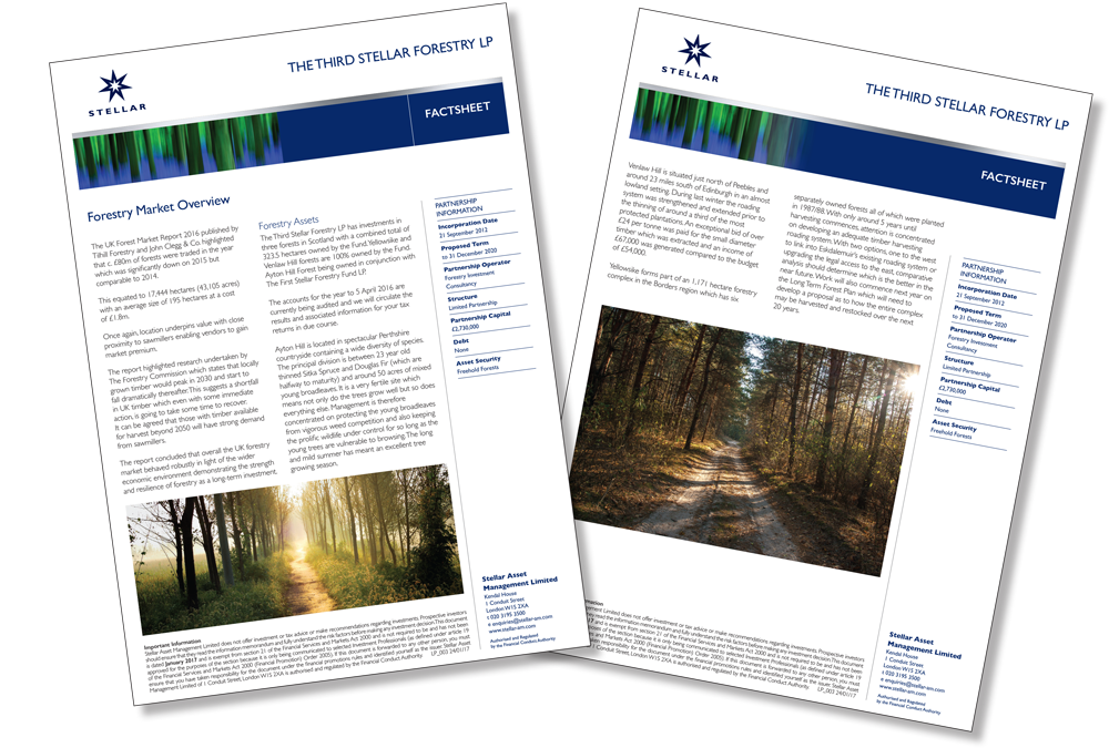 Stellar_Forestry_3